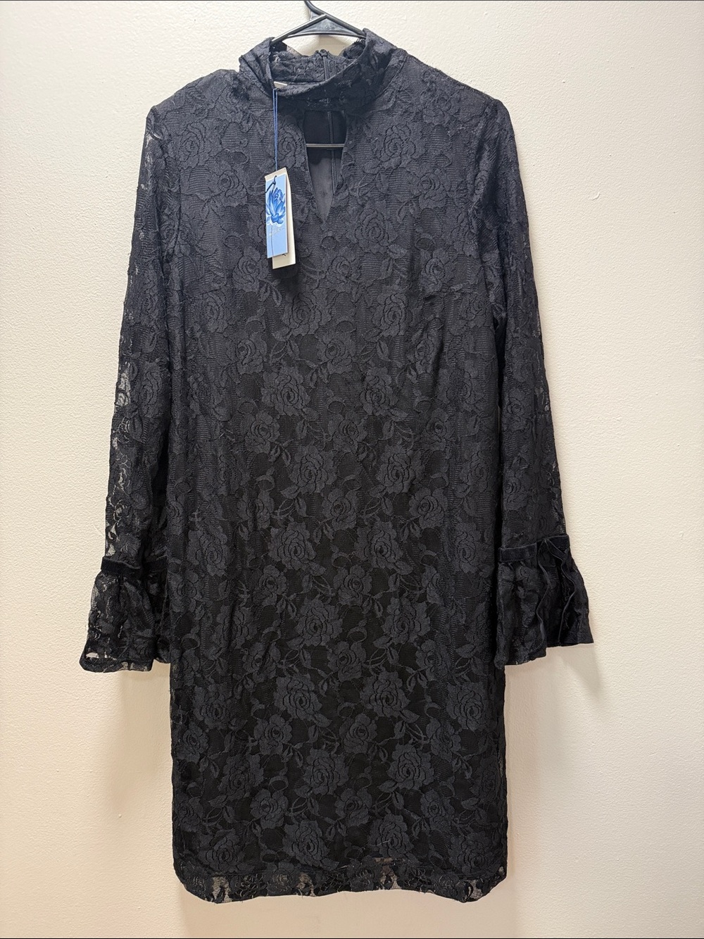 Black Long-Sleeved Lace Dress - New with Tags (NWT) - Whimsigoth Dress